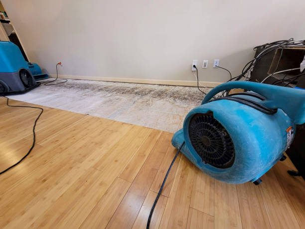 Professional Water Damage Repair technician working in Lynden, WA